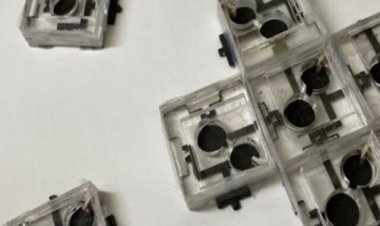 باکتری‌ها تبدیل به باتری می‌شوند   