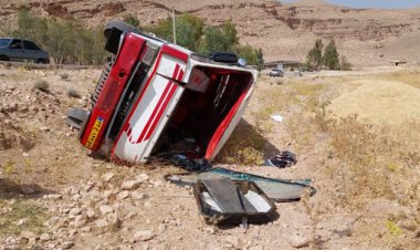 واژگونی یک دستگاه خودرو مینی‌بوس در فسا 19 مصدوم برجای گذاشت