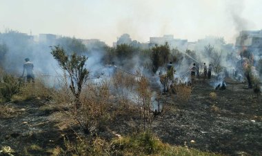 آتش به جان باغ‌های باغملک افتاد