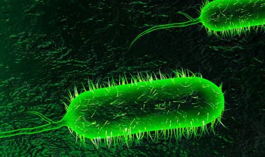 احتمال گسترش وبا در کشور تا سه ماه آینده