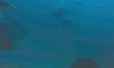 صدای زلزله زیر آب در سایت غواصی کیش