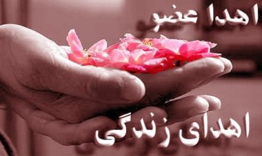 اهدای عضو به زندگی چند بیمار حیات دوباره بخشید