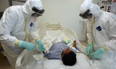 تب کشنده کریمه کنگو، از علایم تا توصیه ها