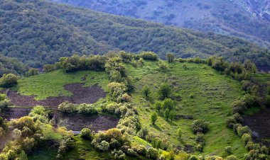 جنگل‌های زاگرس تامین کننده ۴۰ درصد آب کشور/ تعداد استان‌های بیابانی به عدد ۲۱ رسید