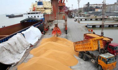 ماجرای واردات صوری ۵۰۰ هزار تن نهاده دامی توسط یک شرکت سفارشی چه بود؟