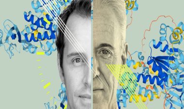 کلید شروع پیری چیست؟