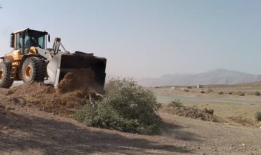 قلع و قمح درختان در زمین‌های ملی فسا