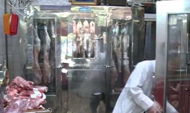 ابتلای قطعی ۲ نفر در فارس به تب کریمه کنگو