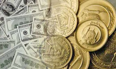 کمر بازار ارز و سکه شکست