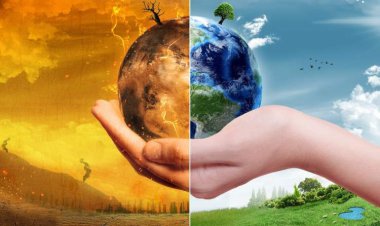 تغییر اقلیم توجیهی برای پوشش خطاها شده است