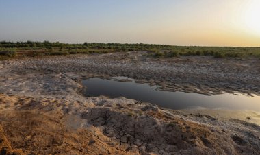 سدسازی در ترکیه، گرد و غبار در ایران و عراق / لزوم ورود سازمان ملل به مساله ریزگردها