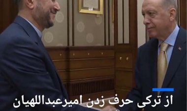 ببینید | از ترکی حرف زدن امیرعبداللهیان تا عربی حرف زدن اردوغان؛ سوژه جدید فضای مجازی