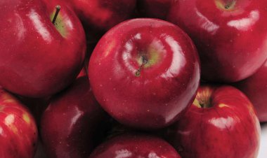 ببینید | دستگاه پوست گیری سیب، سال ۱۸۹۱!