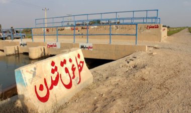 شیرجه تا مرگ!