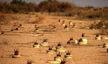 پاکسازی مناطق آلوده به مین و گلوله‌های عمل نکرده در دهلران، قصرشیرین و پادگان حمید در خوزستان