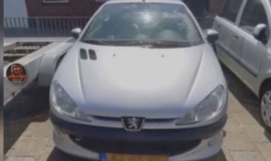 ببینید| این ۲۰۶ در هلند ۳ میلیون تومان قیمت دارد!