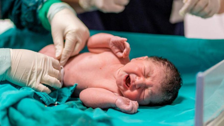 تولد نوزادان مبتلا به تالاسمی در کدام استان‌ها بیشتر است؟