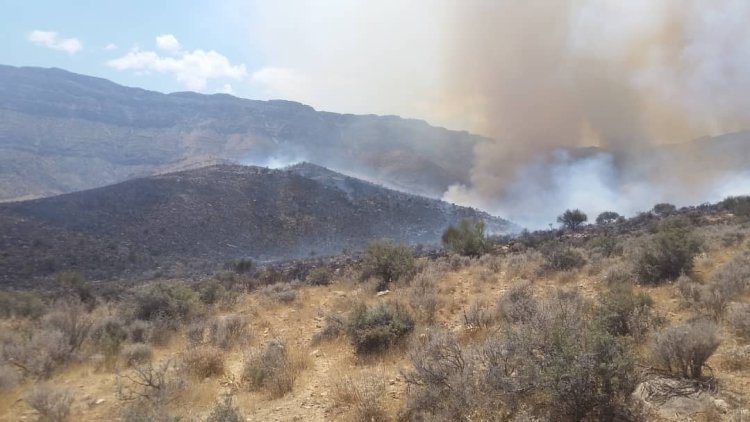 آتش در ارتفاعات شهرستان سروستان دوباره زبانه کشید