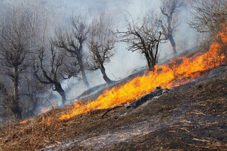 ضرورت برنامه‌ریزی برای پیشگیری از آتش سوزی در مناطق حفاظت شده بوشهر