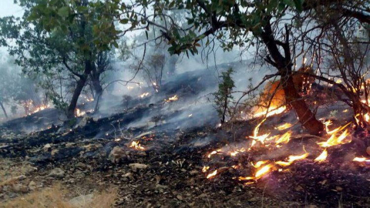 هشدار نسبت به آتش سوزی در جنگل‌ها و مراتع کهگیلویه و بویراحمد