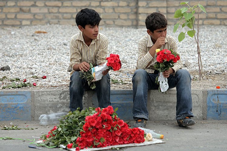 ساماندهی کودکان کار در استان بوشهر ضروری است