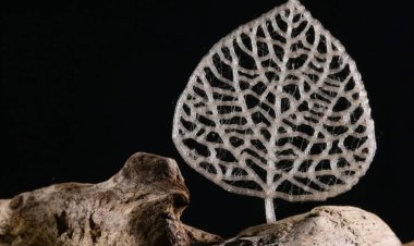 ساخت پلاستیک سازگار با محیط‌ زیست از ضایعات کشاورزی