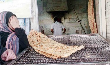  فعالیت نانوایی‌های شیراز به روال عادی بازگشت