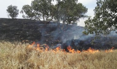 آتش در ده باغ روستای دهنوی ممسنی مهار شد