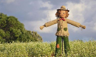 سرباز مزرعه!