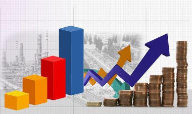 زمینه سازی برای ۴۲ میلیون دلار سرمایه‌گذاری خارجی در فارس