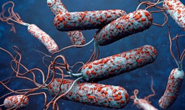 آلودگی آب شرب کذب است