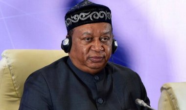 دبیر کل اوپک درگذشت