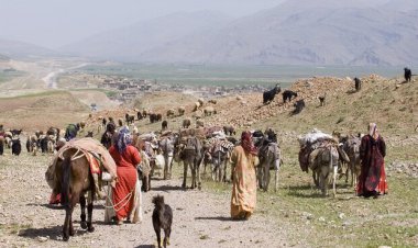 مشکلات متعدد عشایر در تنگستان؛ از آب و برق تا راه و تحصیل