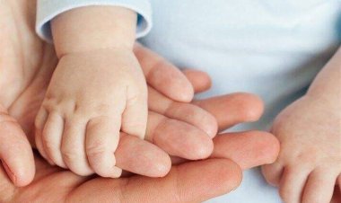 مراجعه سالانه ۳۰ هزار زوج استان فارسی برای ناباروری