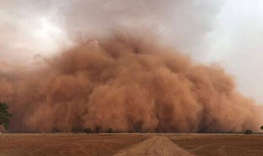 فیلم| خسارت طوفان با سرعت ۸۳ کیلومتر به  خنج