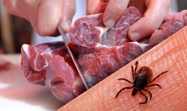 خطر تب کریمه کنگو بیخ گوش مردم در آستانه عید قربان