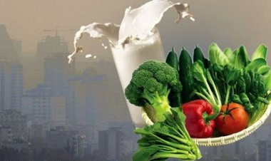 در روزهای آلوده از این مواد غذایی غافل نشوید