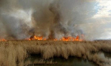 عامل آلودگی هوای خوزستان مشخص شد