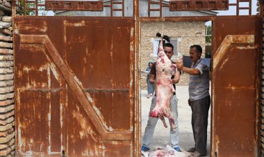 سلامت مردم عسلویه زیر تیغ کشتار دام غیرمجاز