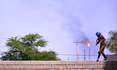 بوشهر؛ رتبه اول درآمد، رتبه هجدهم فلاکت!