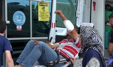 زخمی شدن ۵ هزار قصاب در مراسم عید قربان +عکس