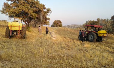 ۱۰۰میلیارد تومان برای آفت زدایی جنگل های بلوط کهگیلویه و بویراحمد نیاز است