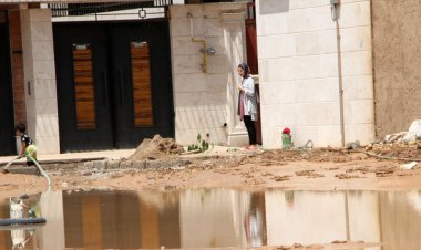 قطع درختان کهنسال در پی بارندگی شدید در داراب فارس