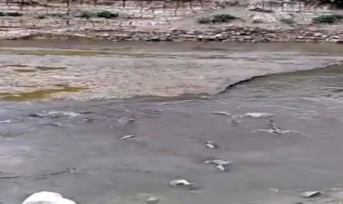ببینید | وضعیت فلاکت‌بار رودخانه‌ای که پرخروش بود
