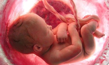 تصویب اعطای مرخصی ۹ ماهه به بانوان باردار با مزایای کامل