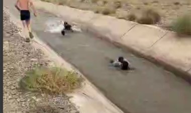 اگر دلش را ندارید، این فیلم را نبینید!