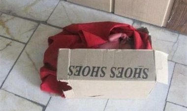 نوزاد رها شده در یکی از معابر شهر زاهدان پیدا شد    