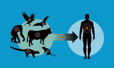 زئونوز را جدی بگیریم