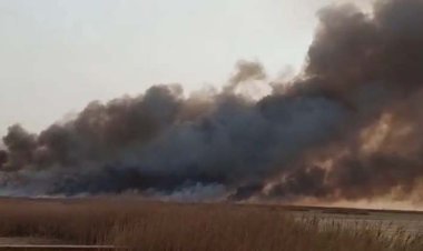 آتش سوزی در بخش عراقی  هورالعظیم