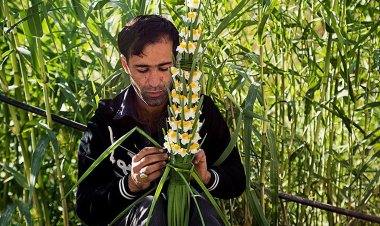 ۲ نرگس‌زار فارس در فهرست میراث طبیعی ملی